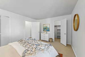 Bedroom with brand-new carpet and walk-in closet.