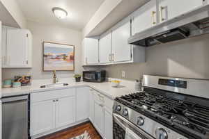 Updated kitchen (newly painted) with brand new dishwasher and stove/oven. Brand new quartz counters. New golden faucet and door handles.