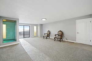 Living area featuring a textured ceiling and carpet flooring