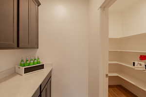 Butler's & Walk-In Pantry