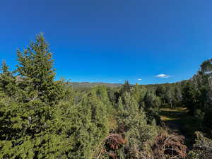 View From Second Bedroom on 2nd Floor