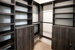 View of walk in closet