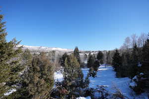 Exterior space featuring a mountain view