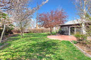 View of yard featuring a patio