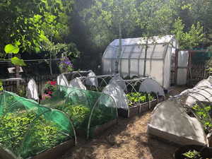 View of yard with an outdoor structure