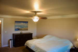 Carpeted bedroom featuring a textured ceiling, crown molding, and ceiling fan