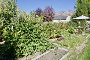 View of yard featuring a mountain view