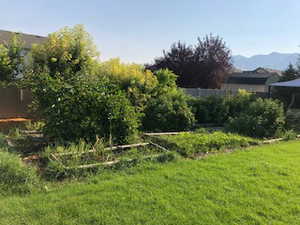 View of yard with a mountain view