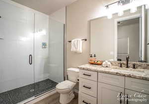 Bathroom featuring wood-type flooring, walk in shower, vanity, and toilet