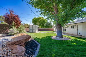 View of yard with a patio and a storage unit