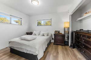 Bedroom featuring light hardwood / wood-style flooring