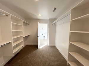 Walk in closet featuring dark colored carpet