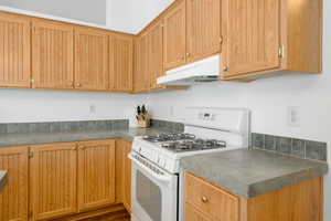 Kitchen with dark hardwood / wood-style floors and white gas stove