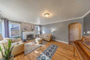 Living room with light wood-type flooring, a textured ceiling, and crown molding