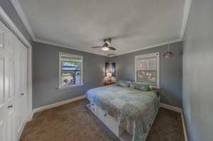 Carpeted bedroom with ornamental molding, a closet, ceiling fan, and a textured ceiling