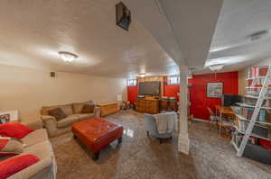 Carpeted living room with a textured ceiling