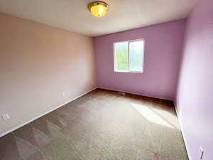 View of carpeted spare room