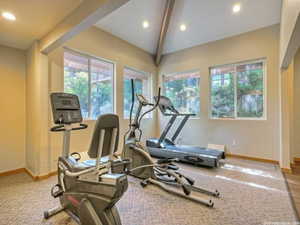 Workout room featuring vaulted ceiling and hardwood / wood-style flooring