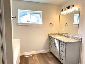 Bathroom featuring vanity, hardwood / wood-style floors, a tub, and a healthy amount of sunlight