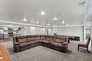 Carpeted living room featuring a textured ceiling and sink