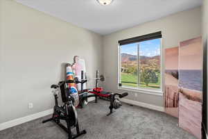 Workout room featuring carpet floors and a mountain view