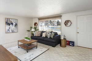 Living room with light colored carpet and a textured ceiling