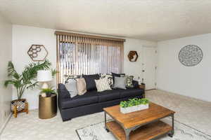 Living room with a textured ceiling and light carpet