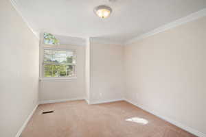 Carpeted empty room with a textured ceiling and crown molding