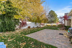 View of yard featuring a patio area