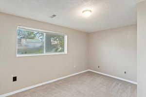 Downstairs bedroom.