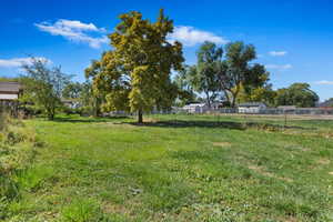 View of yard with a rural view