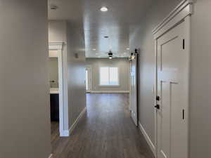 Hall featuring a barn door and dark hardwood / wood-style floors