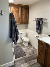 Bathroom featuring vanity, hardwood / wood-style floors, and toilet