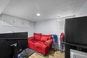 Basement den or game room