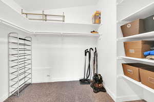 Spacious closet featuring carpet flooring