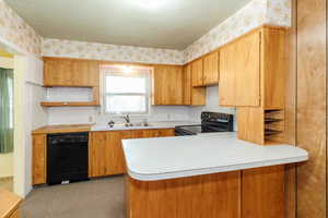 Kitchen featuring carpet floors, black appliances, kitchen peninsula, and sink