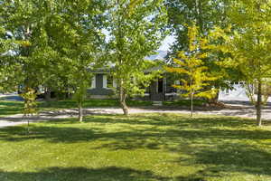 View of property hidden behind natural elements with a front lawn