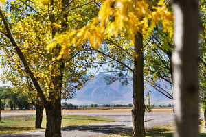 View of home's community featuring a mountain view and a rural view