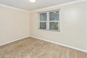 Carpeted empty room with a textured ceiling and crown molding