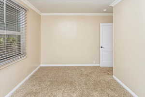 Carpeted Bedroom featuring crown molding