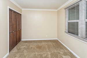 Bedroom with a closet, carpet floors, and crown molding