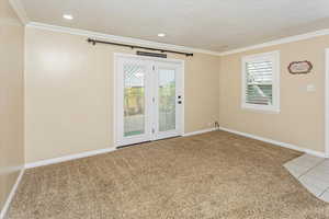 Spare room with light colored carpet, a textured ceiling, ornamental molding, and a healthy amount of sunlight