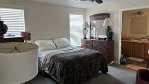 Master Bedroom featuring ceiling fan, carpet floors, connected bathroom, and sink