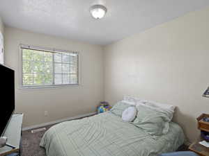 Bedroom featuring carpet and a textured ceiling