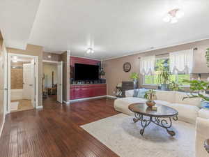 Living room featuring a dark wood-type flooring