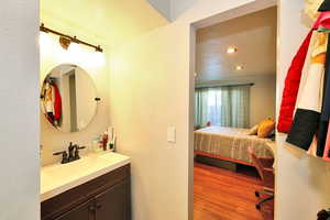 Bathroom with wood-type flooring and vanity