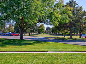 Surrounding community featuring a yard