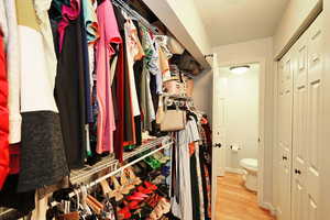 Spacious closet with light wood-type flooring