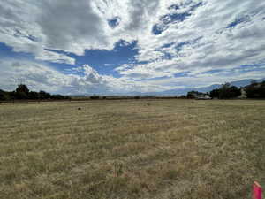 View of yard featuring a rural view