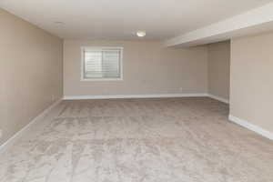 Basement Family Room